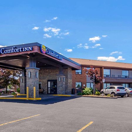 Comfort Inn Saint Catharines Luaran gambar